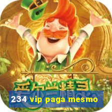 234 vip paga mesmo